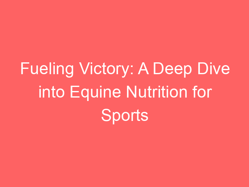 Fueling Victory: A Deep Dive into Equine Nutrition for Sports