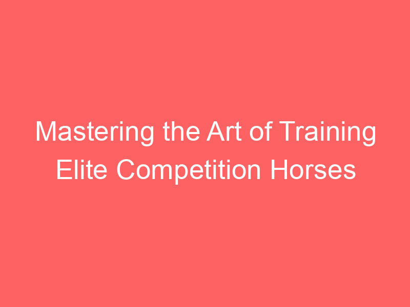 Mastering the Art of Training Elite Competition Horses